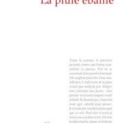 Revue de presse – “La pluie ébahie” de Mia Couto