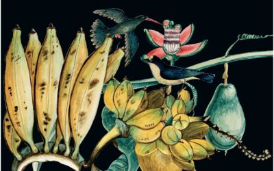 Exposition “Le Voyage des plantes & les grandes découvertes” – du 19 octobre au 7 novembre 2023 – Bourges